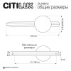 Бра Citilux CL248012