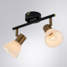 Спот ARTE Lamp A3117PL-2BK