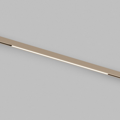 Светильник на шине Denkirs DK4752-CP