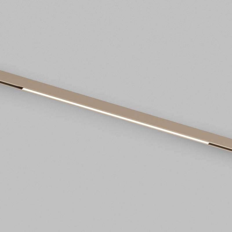 Светильник на шине Denkirs DK4752-CP