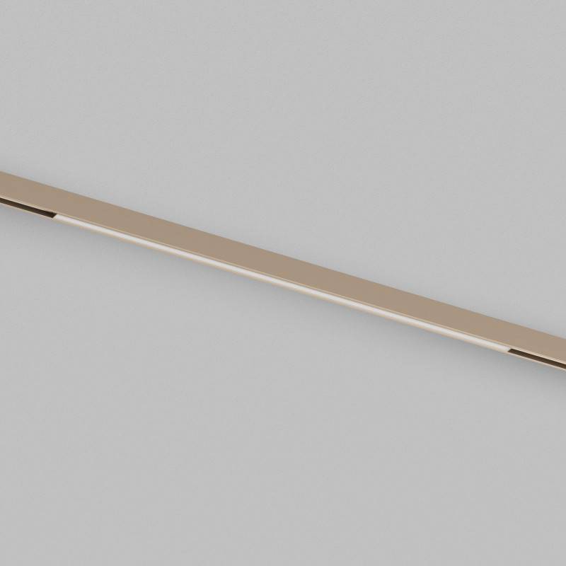 Светильник на шине Denkirs DK4752-CP