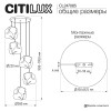 Каскадная люстра Citilux CL247085