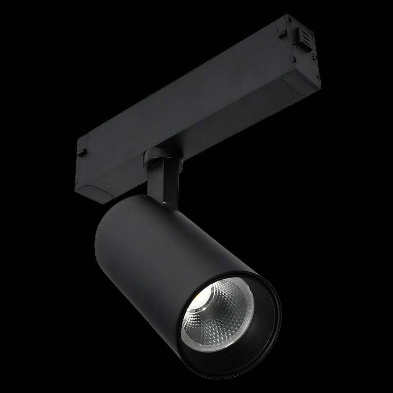 Светильник на шине ST-Luce ST660.496.10H