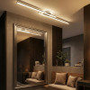 Накладная люстра Citilux CL203621