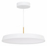 Подвесной светильник Arlight ELEGANT 033925
