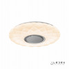 Накладной светильник iLedex ZN-XU48XD-GSR-YK
