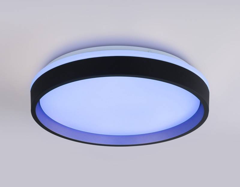 Накладной светильник Ambrella Light FZ604