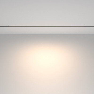 Светильник на шине Maytoni Technical TR231-2-15W4K-B