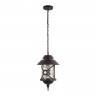 Подвесной уличный светильник LOFT IT 100021P