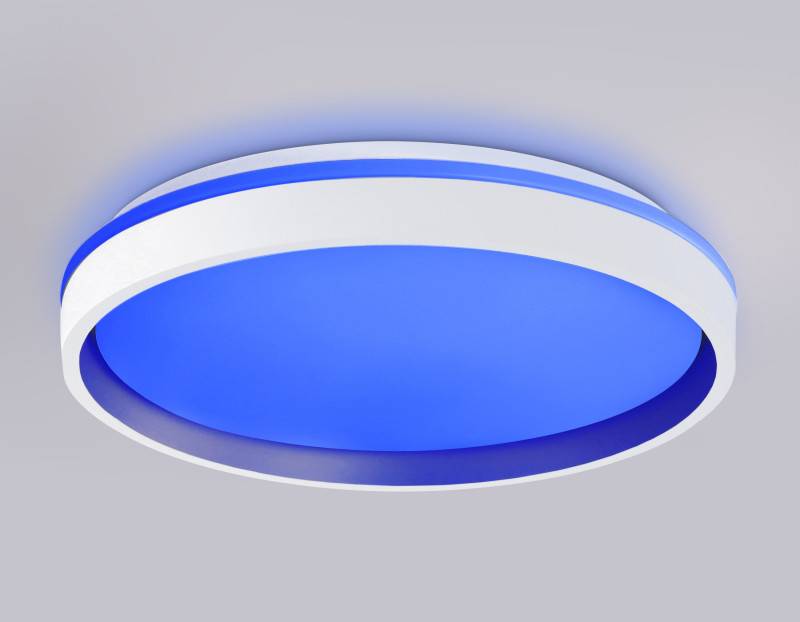 Накладной светильник Ambrella Light FZ607