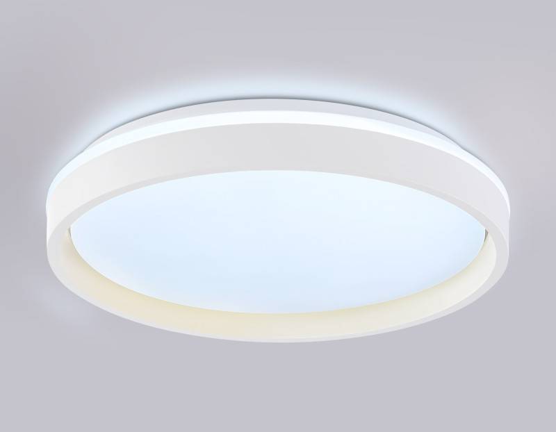 Накладной светильник Ambrella Light FZ607