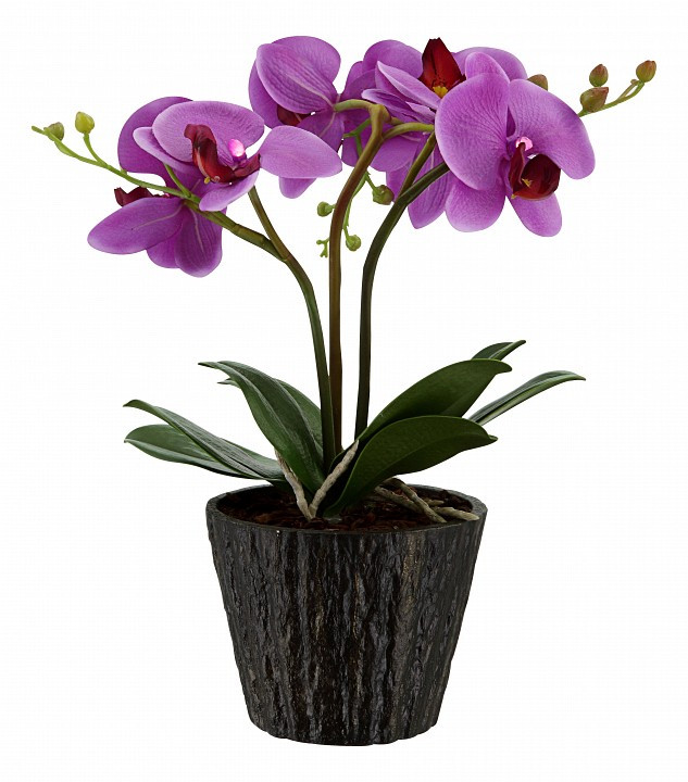 Растение в горшке Globo FlowerPower 28003