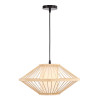 Подвесная люстра ST-Luce SL6241.533.01