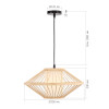 Подвесная люстра ST-Luce SL6241.533.01