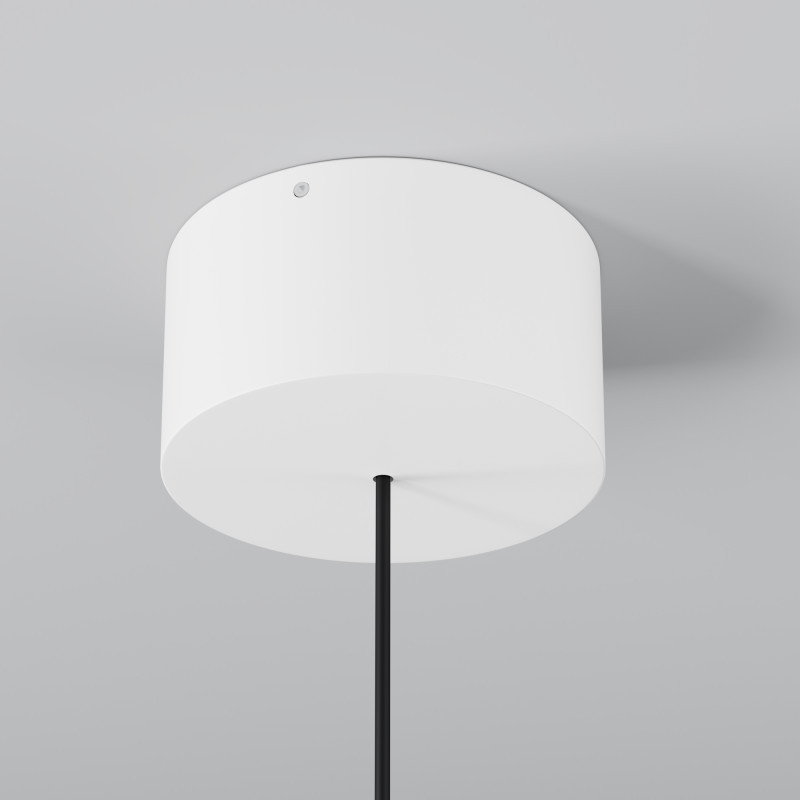 Подвесной уличный светильник Maytoni O491PL-L6W3K