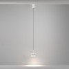 Подвесной светильник Maytoni Technical P102PL-12W4K-W