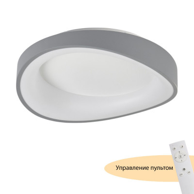 Накладной светильник MyFar MR9190-CL