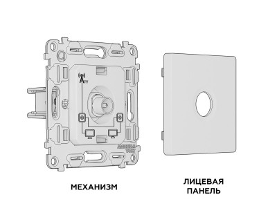Розетка Ambrella Volt MA513030