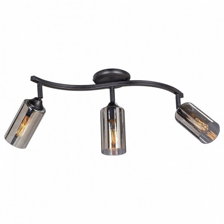 Спот Vitaluce 4315 V4315-1/3PL