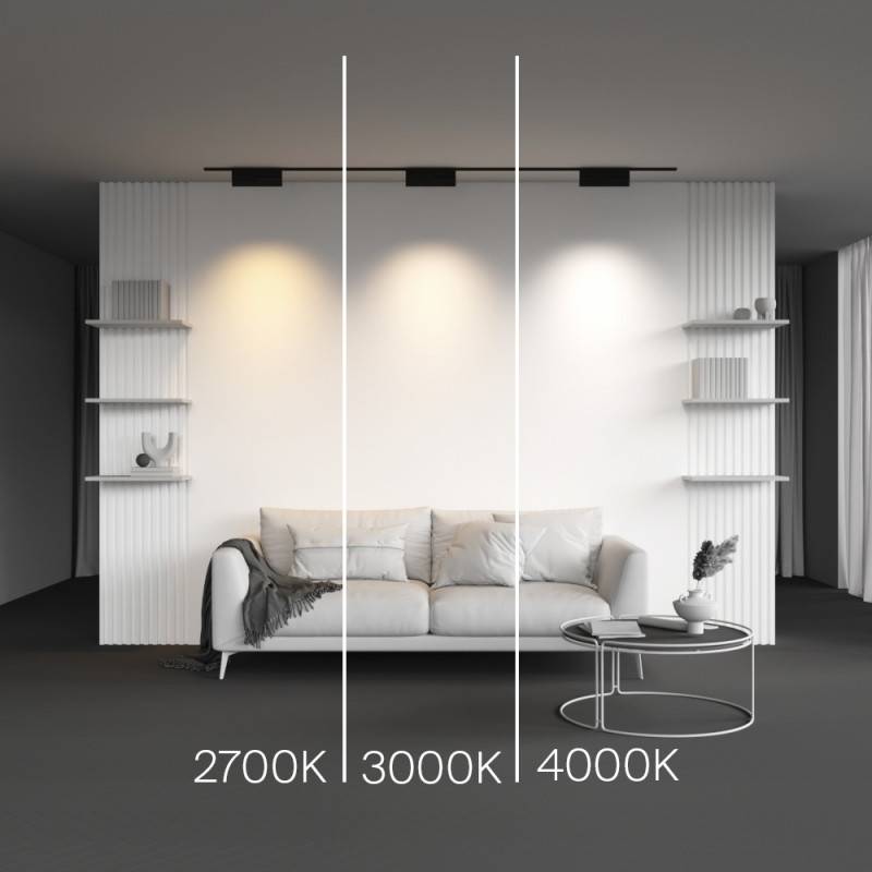 Светильник на шине Maytoni Technical TR194-1-12W4K-M-B