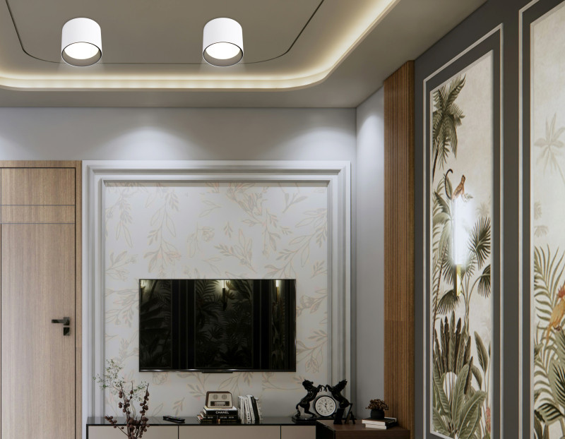 Накладной светильник Ambrella Light TN5303