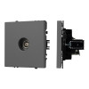 Розетка Arlight 054295(1)