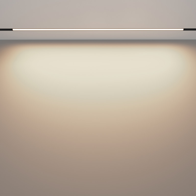 Светильник на шине Maytoni Technical TR030-2-30W3K-B