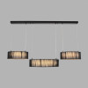 Подвесная люстра LUMION 8371/70L