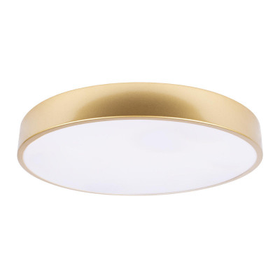 Накладной светильник LOFT IT 10228/A