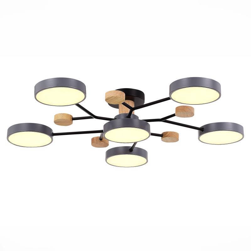 Люстра на штанге Evoluce SLE6006-702-06