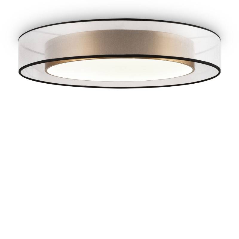 Накладной светильник Freya FR6005CL-L48G