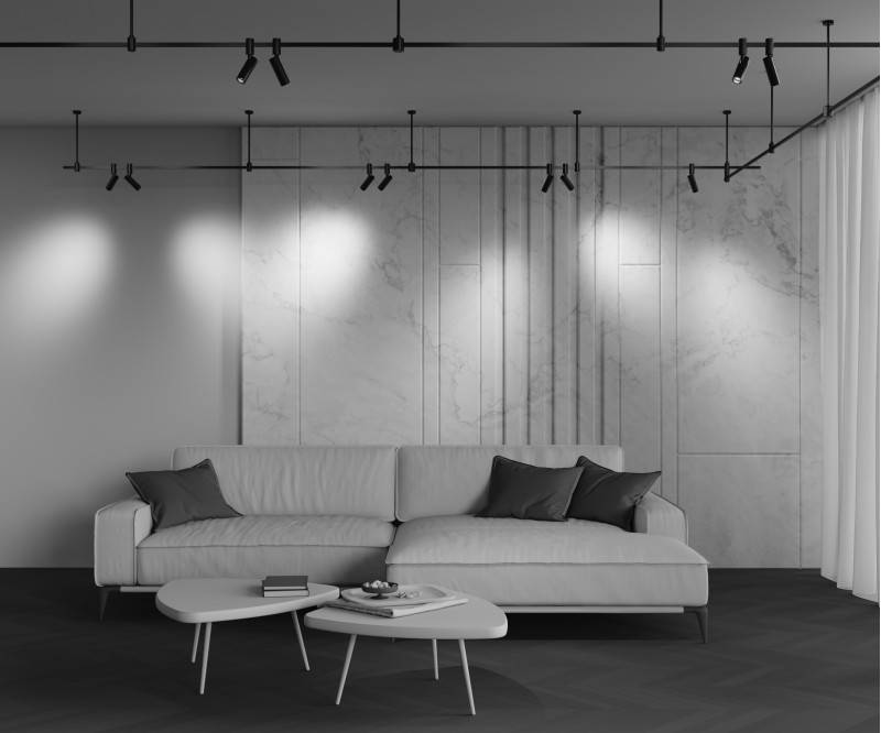 Светильник на шине Maytoni Technical TR144-1-12W3K-W-B