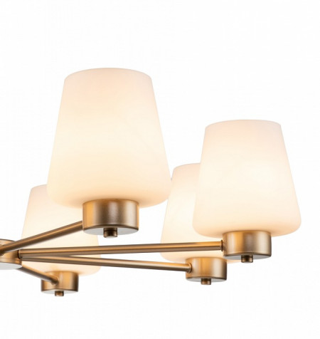 Подвесная люстра Indigo Tulip 13004/8P Gold
