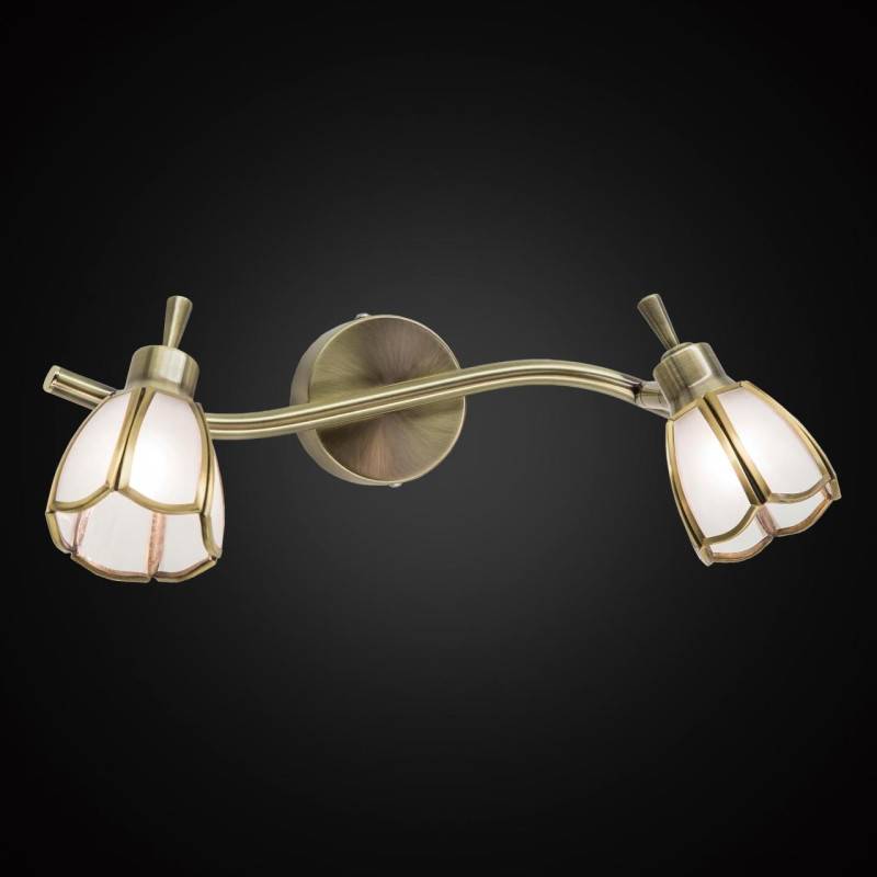 Спот Citilux CL522521