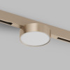 Светильник на шине Denkirs DK4762-CP