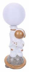 Настольная лампа декоративная Lumion Atlas 8207/1T