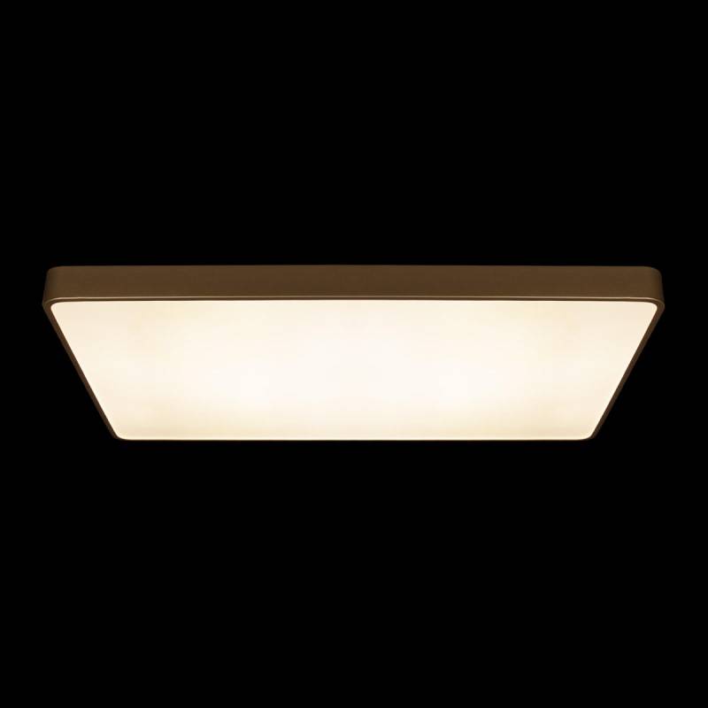 Накладной светильник LOFT IT 10228/E