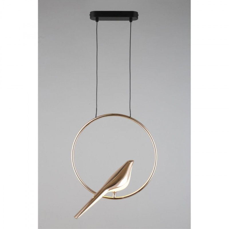 Потолочный детский светильник APLOYT APL.822.06.10