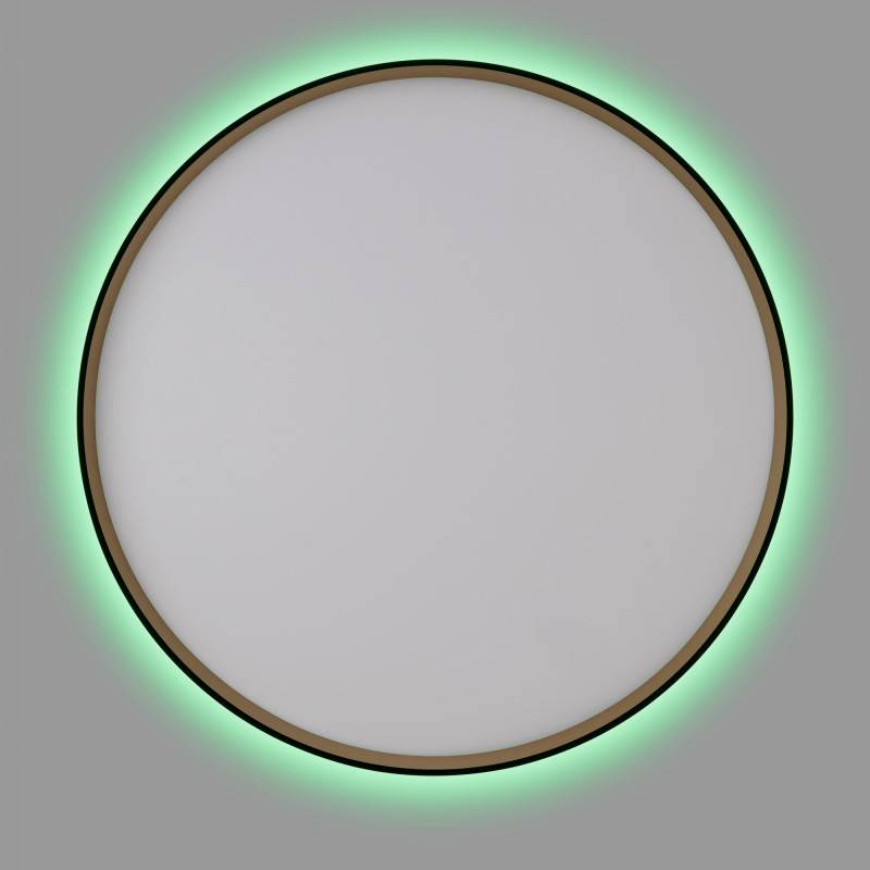 Накладной светильник Citilux CL750501R