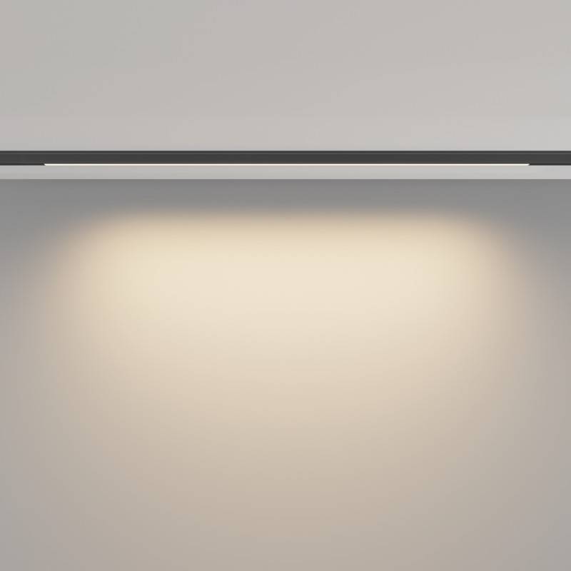 Светильник на шине Maytoni Technical TR190-1-10W3K-B