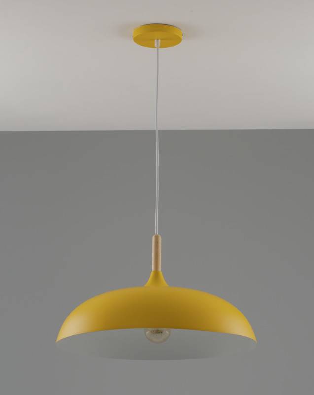 Потолочный детский светильник Moderli V11450-1P