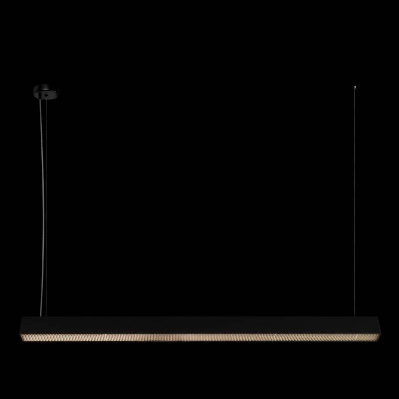 Линейный светильник LOFT IT 10318/C Black