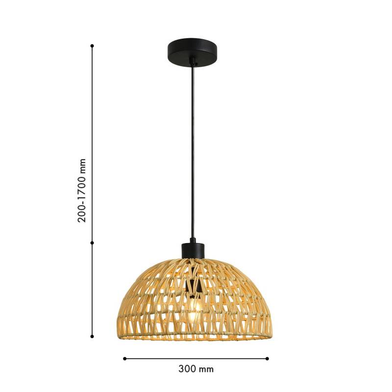 Подвесной светильник Favourite 4881-1P