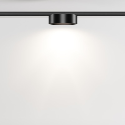 Светильник на шине Maytoni Technical TR189-1-12W4K-B