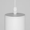 Подвесной светильник Maytoni Technical P075PL-01W