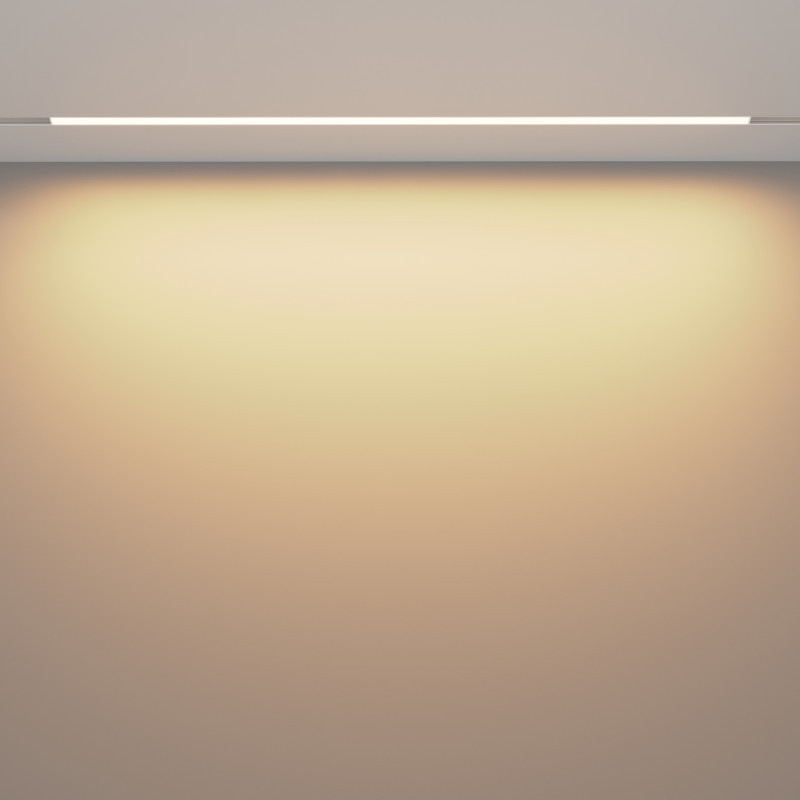 Светильник на шине Maytoni Technical TR030-2-30W3K-W