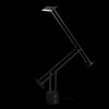 Настольная лампа LOFT IT 10485T