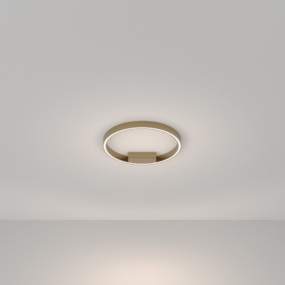 Накладной светильник Maytoni MOD058CL-L25BSK