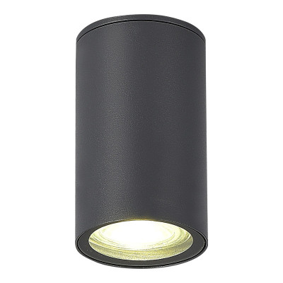 Накладной уличный светильник ST-Luce SL9010.712.01