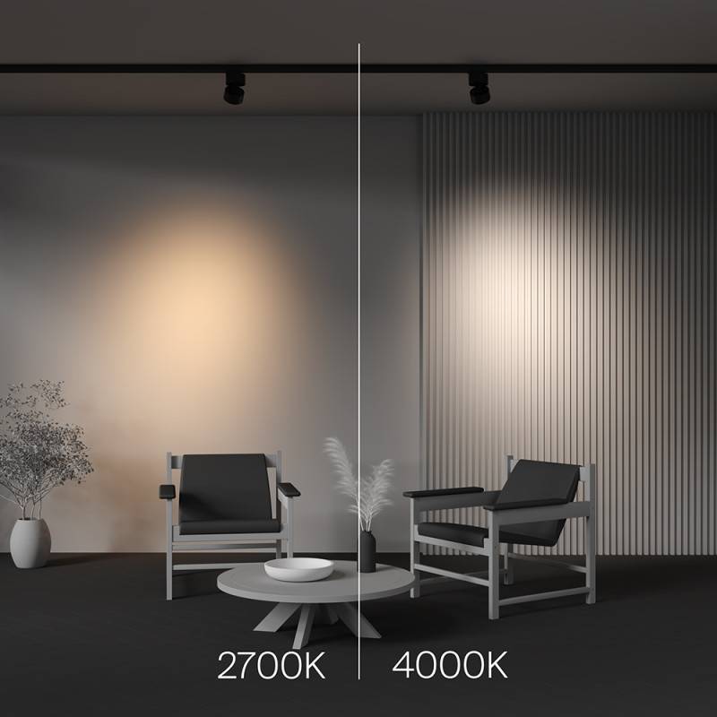 Светильник на шине Maytoni Technical TR199-3-15W4K-M-B